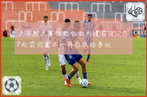 卢布列夫赛场怒吼裁判遭罚分,ATP处罚尺度不一再引双标争议