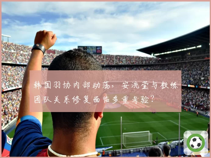 韩国羽协内部动荡,安洗莹与教练团队关系修复面临多重考验?