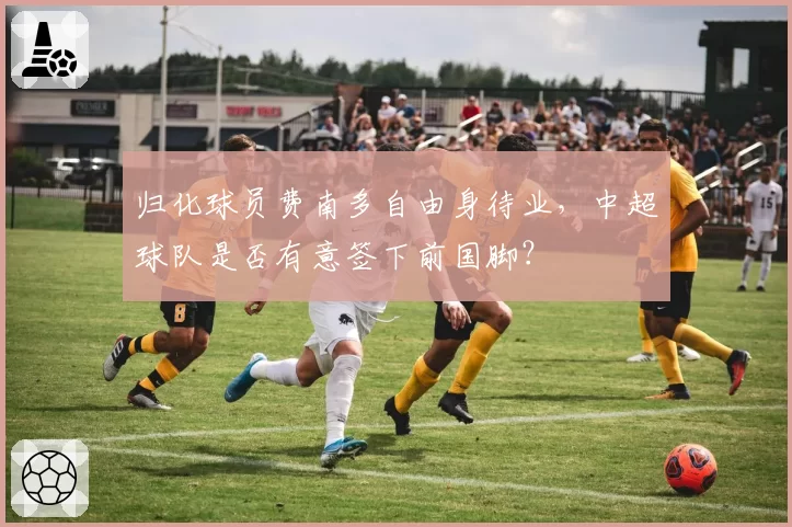归化球员费南多自由身待业,中超球队是否有意签下前国脚?