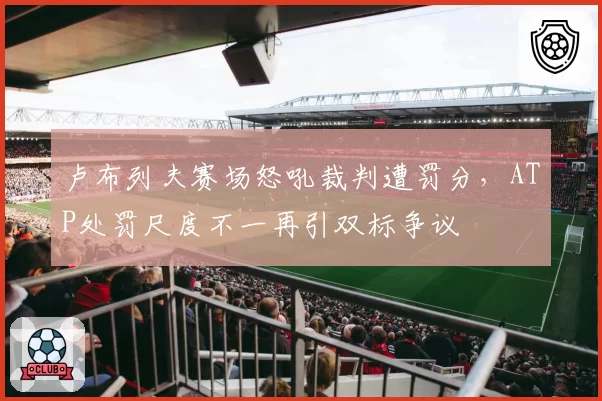 卢布列夫赛场怒吼裁判遭罚分，ATP处罚尺度不一再引双标争议